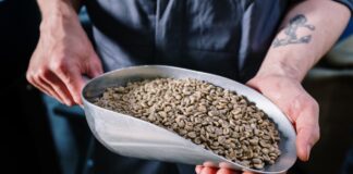 Kaffebønner test – Find de bedste kaffebønner bedste kaffebønner